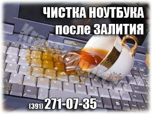 Чистка ноутбука после попадания жидкости в Красноярске.
