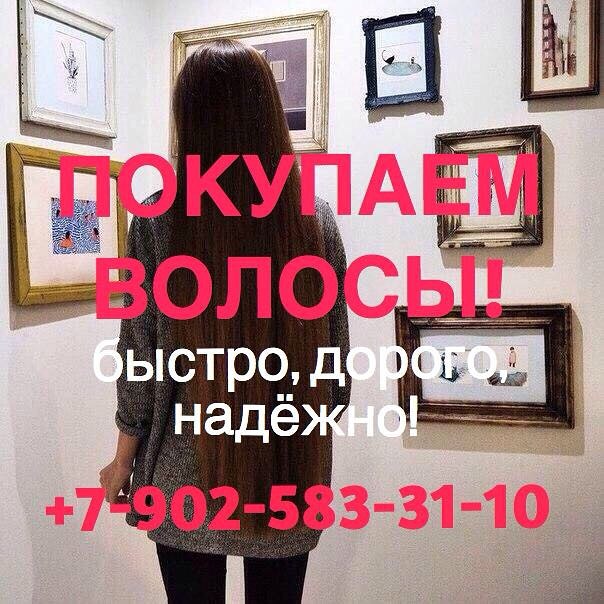 Скупаем волосы в Санкт-Петербурге. Дорого