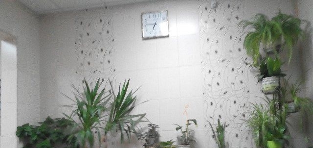 Прдам однушку в хорошем районе.