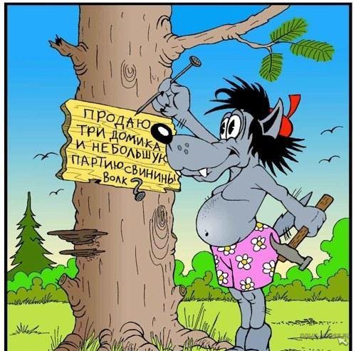Предложения от фирм и частных исполнителей
