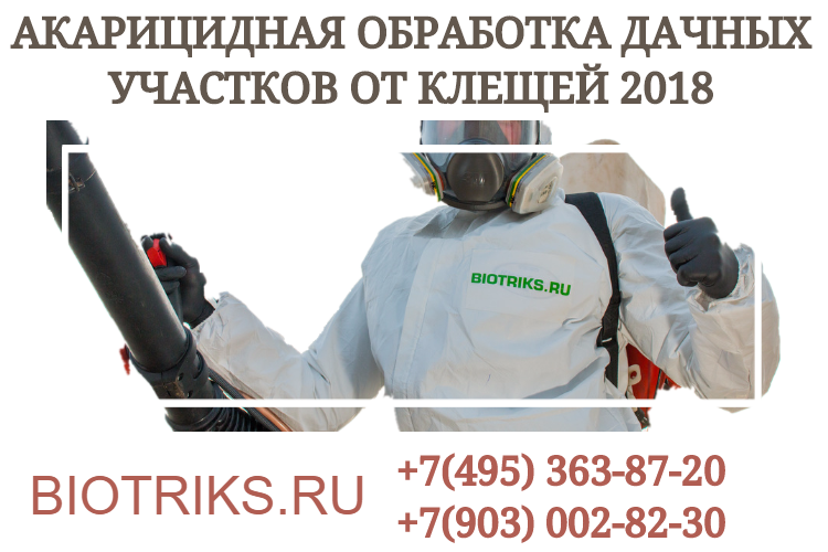 Обработка участков и дач от клещей в Раменском