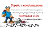 Уничтожение насекомых и неприятных запахов