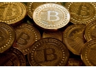 247 investments EARN 7X AFTER 7 DAYS