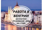 Срочный набор Везем бесплатно c Украины по био Работа в Венгрии 700-950 долла